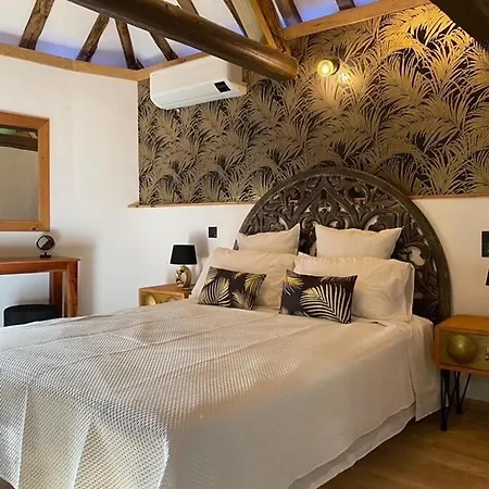 Historic Castle With Pool Near Vichy 別荘 *